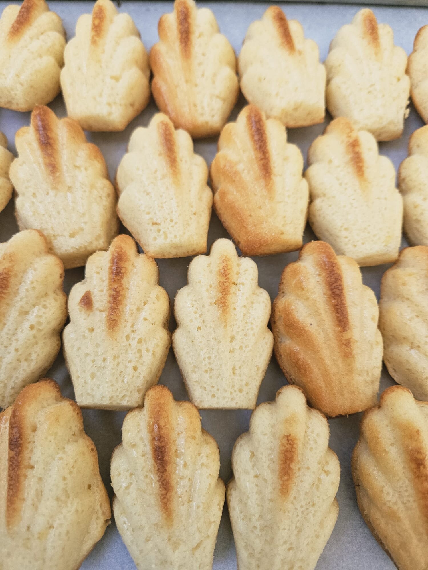 Madeleines