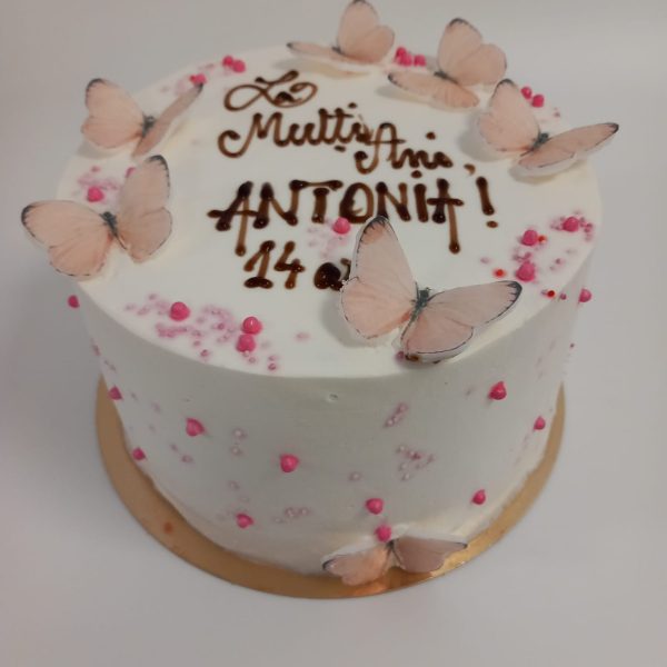 tort pentru fete cu fluturasi