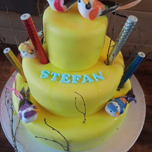 tort colorat de baieti cu pasari exotice