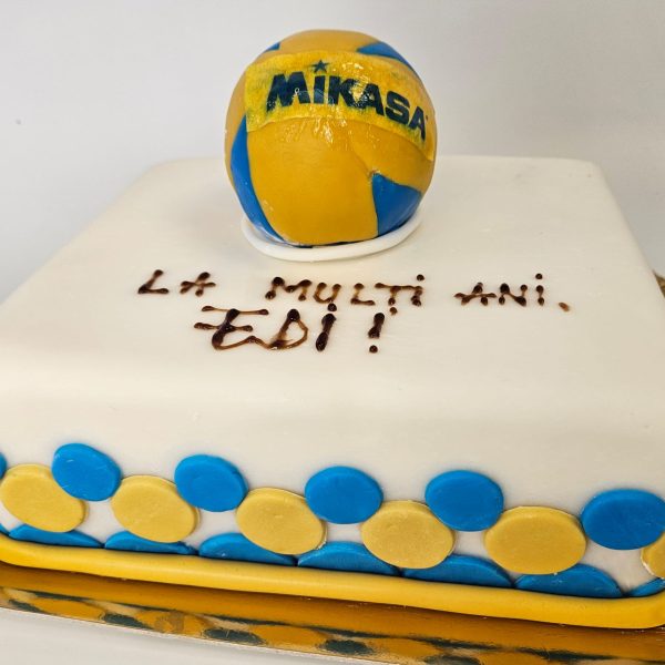 tort sport cu minge de baschet